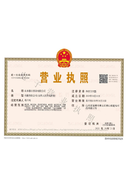 電子(zǐ)營業執(zhí)照